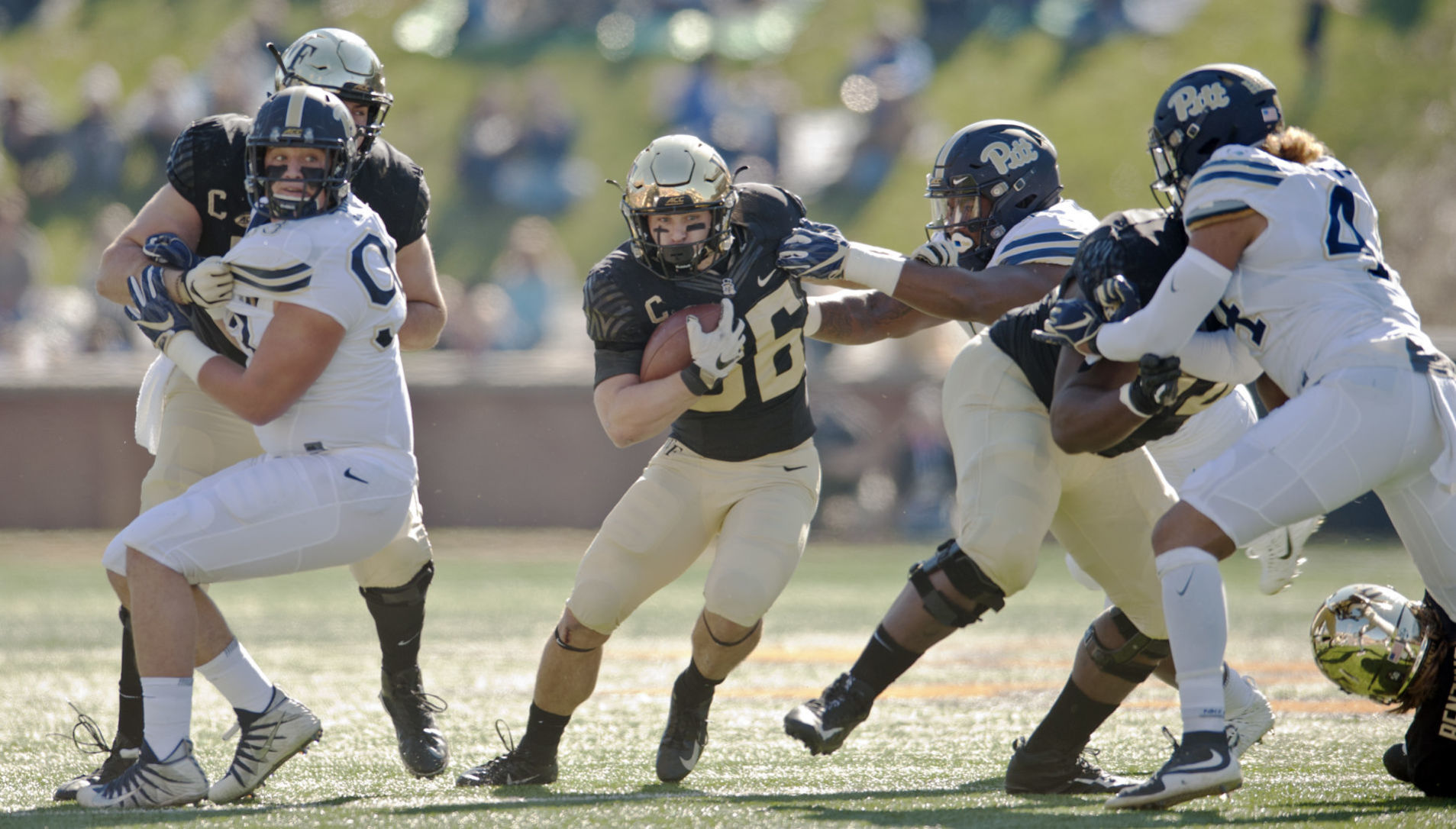 Pitt Wake Forest football
